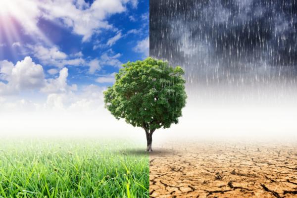 Survey reveals gap between climate change perceptions and required actions - SmartCitiesWorld